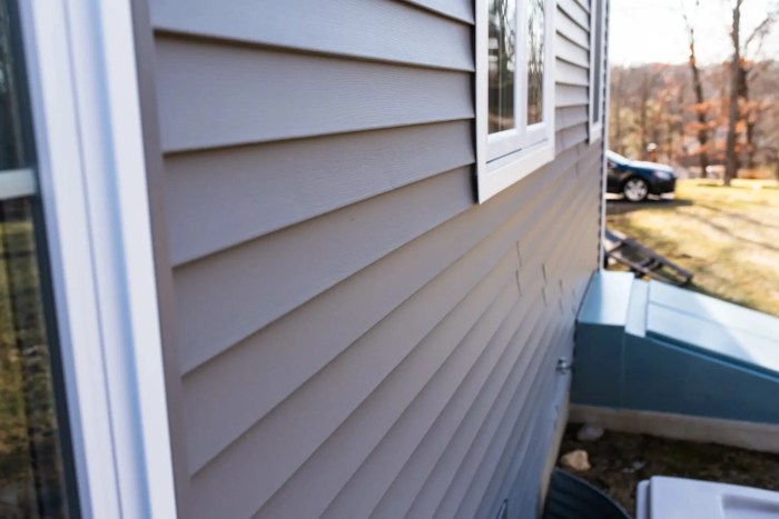 Vinyl Siding: Costs and Key Considerations, Explained (2025)